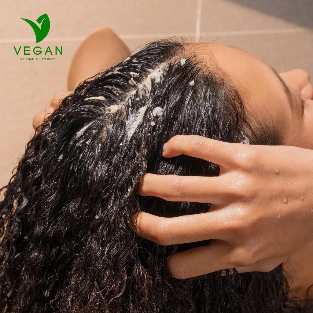 Dầu gội tẩy da chết da dầu từ bồ kết COCOON 200ml VEGAN - thuần chay