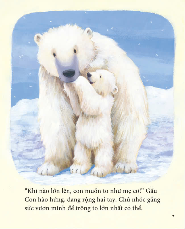 Sách - Big Bear Little Bear - Gấu Lớn Gấu Nhỏ - ndbooks