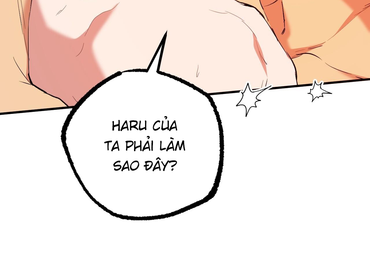 những chú thỏ của hapypy chapter 63 226