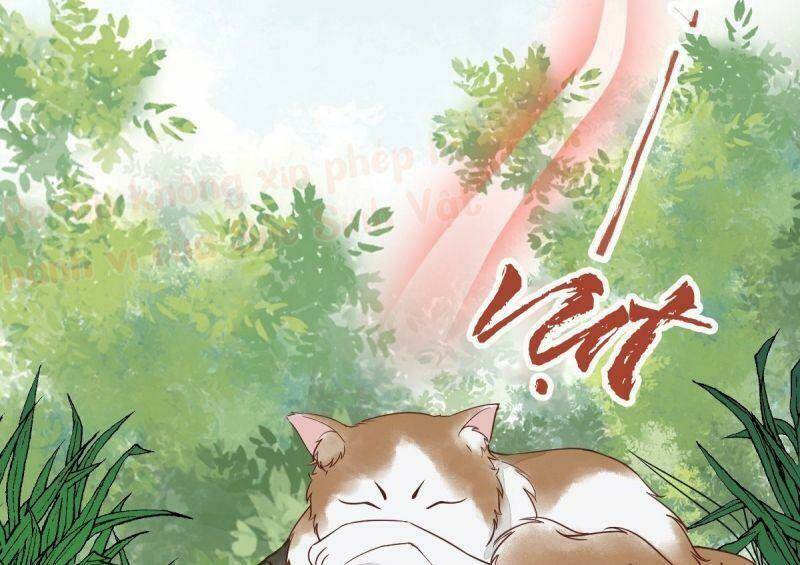 sát thủ vương phi không dễ chọc chapter 29 57