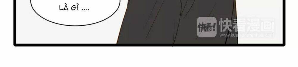 điều giáo quan hệ chapter 20 10