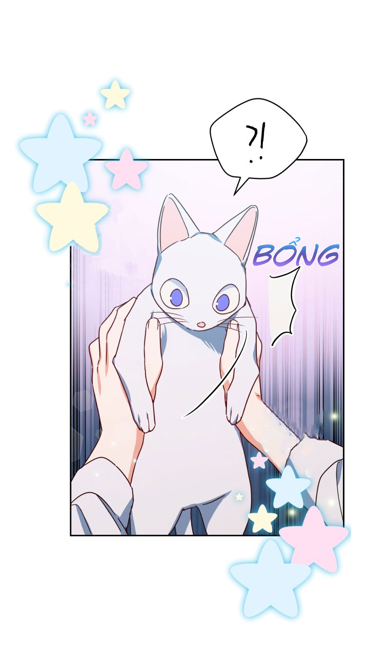 nàng elizabeth thuần khiết chapter 20 42