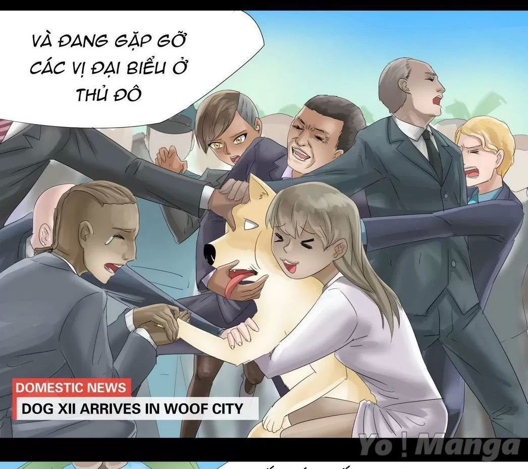 một con chó chapter 32 3