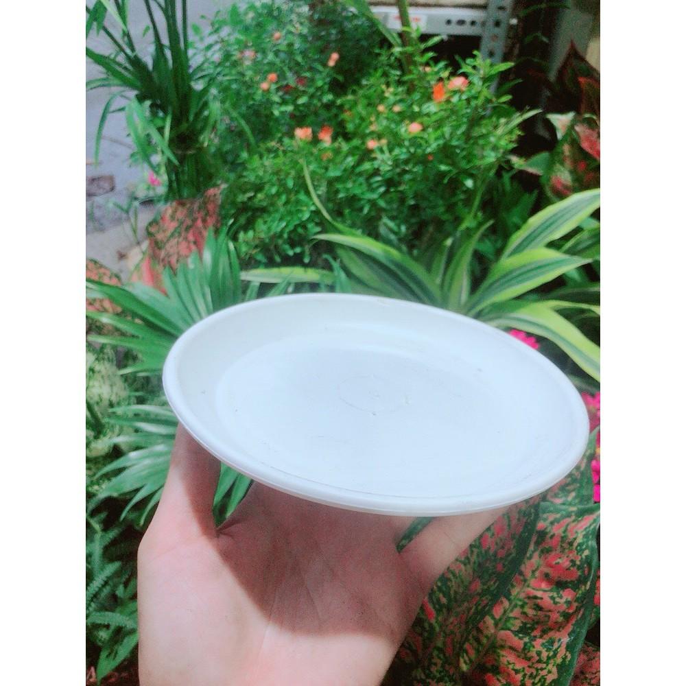 Đĩa Lót Chậu đường kính 17cm