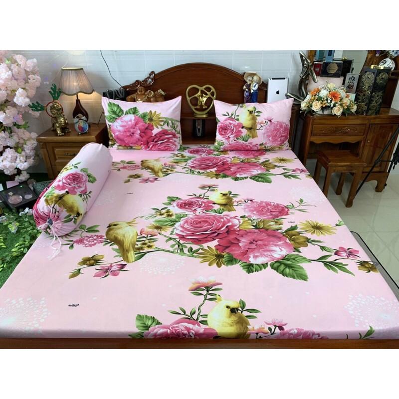 Drap thun Hàn quốc