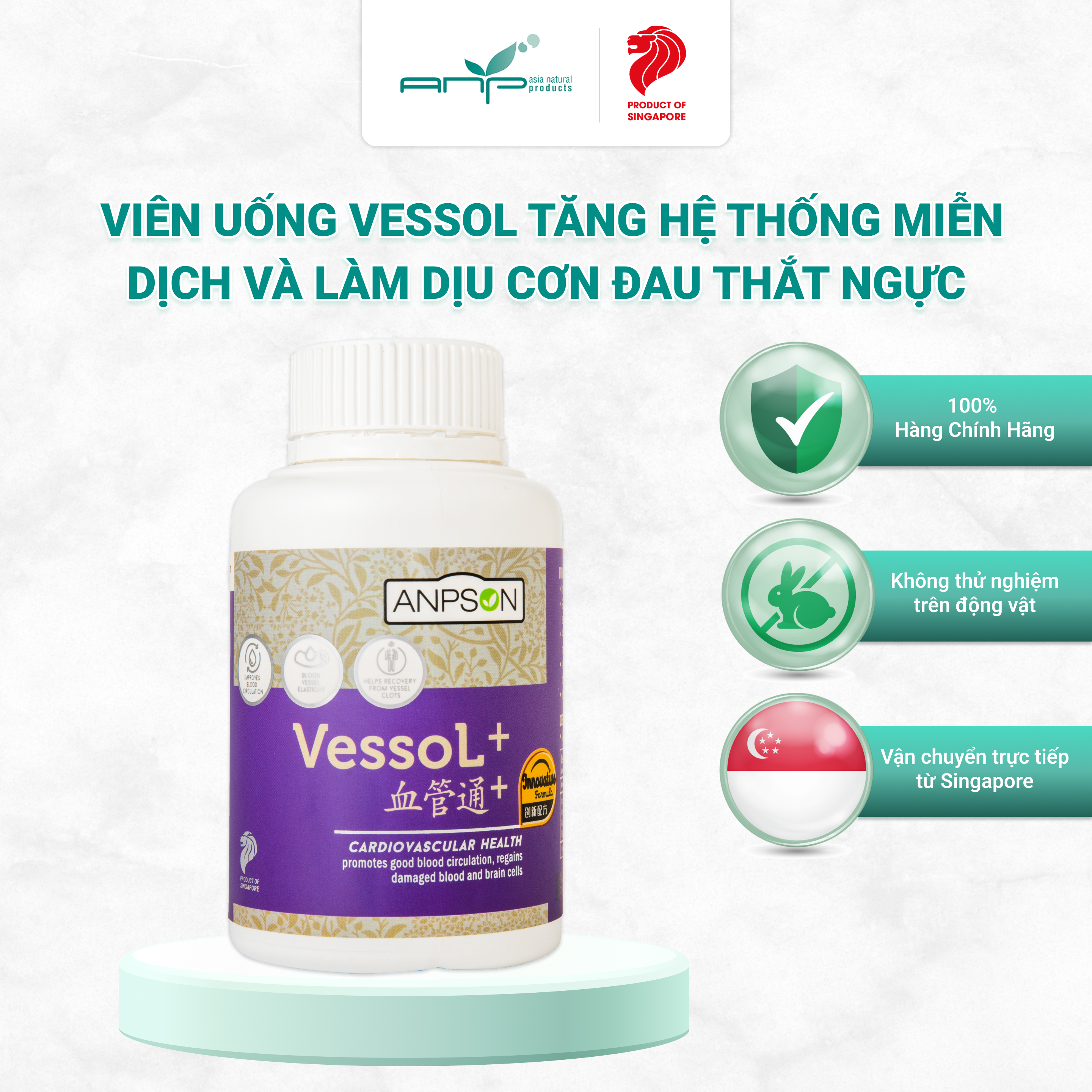 Viên Uống Tăng Cường Hệ Thống Miễn Dịch Vessol Với Chiết Xuất Từ Gingko Làm Dịu Cơn Đau Thắt Ngực, Ngăn Ngừa Lão Hóa Giúp Phục Hồi Sau Đột Quỵ
