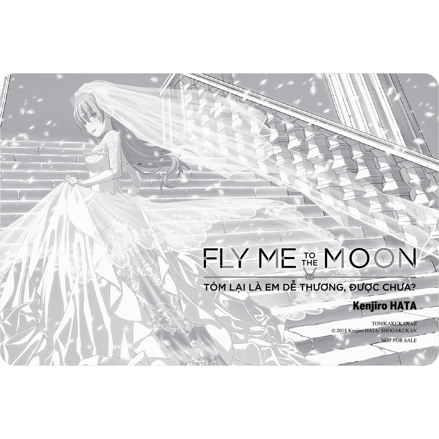 Hình ảnh Fly Me To The Moon 3