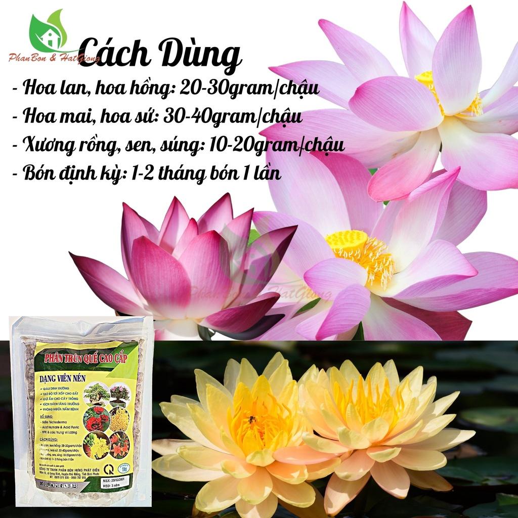 Phân Bón Trùn Quế Nén 1Kg HPD Cao Cấp Phân Bón Hữu Cơ Chuyên Cho Lan Và Cây Kiểng