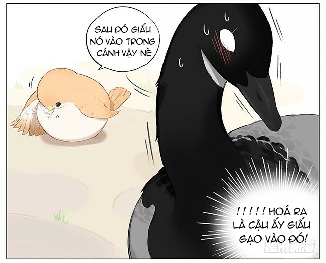 sẻ chiếu mới và nhạn phong sương chapter 4 5