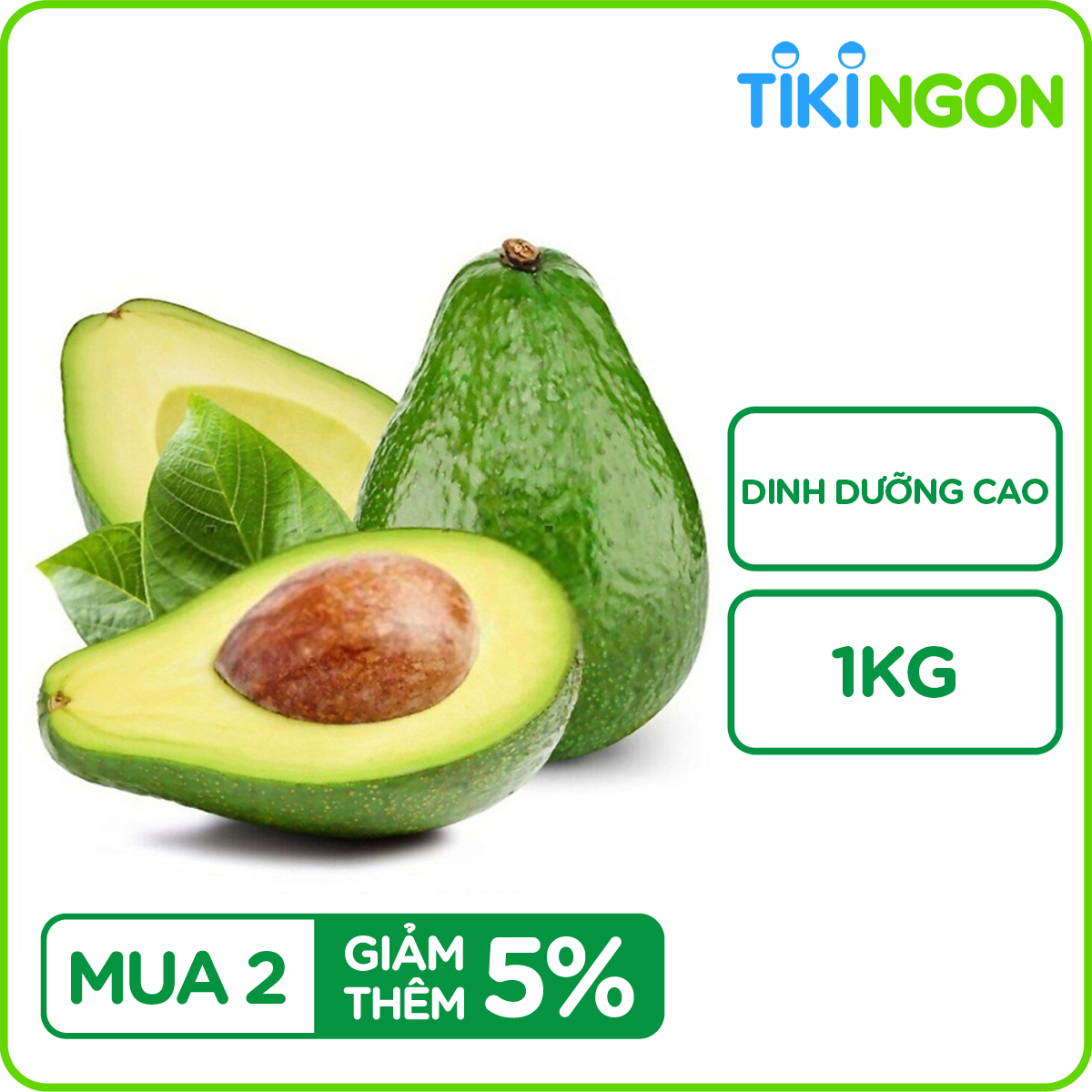 Bán cây giống bơ Hass  Bơ sáp trái vụ giá trị kinh tế cao