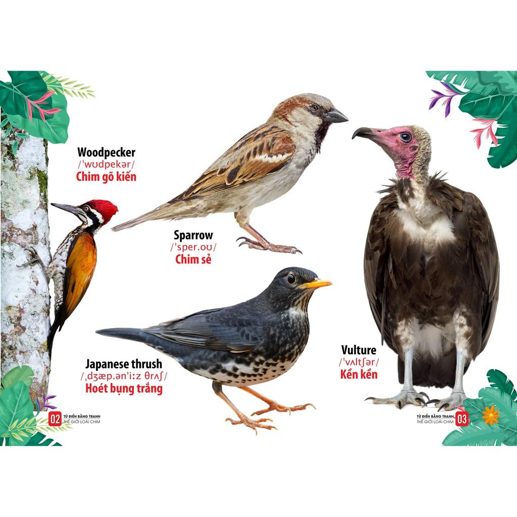 Sách - Từ Điển Bằng Tranh - Động Vật Dưới Nước - Thế Giới Động Vật - Thế Giới Loài Chim (Bộ 3 cuốn bìa cứng)