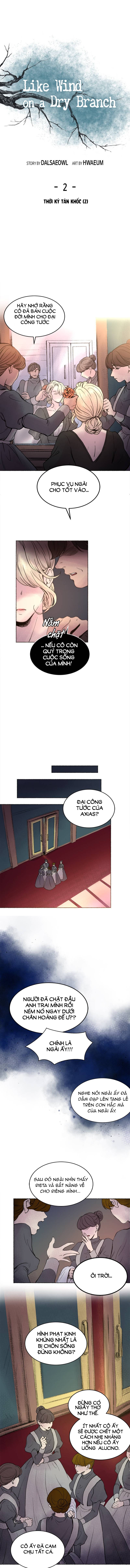 như gió trên cành cây khô chapter 2 2