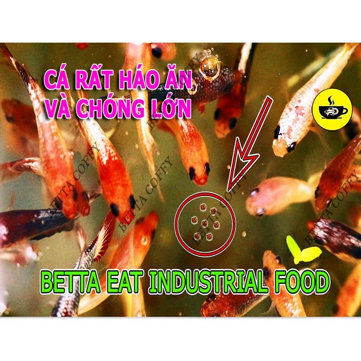 Cám Inve - Thức ăn cá
