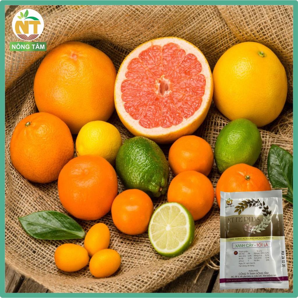 Phân bón lá FE PLUS bổ sung vi lượng cho rau màu, thanh long, cây ăn quả, gói 50gr