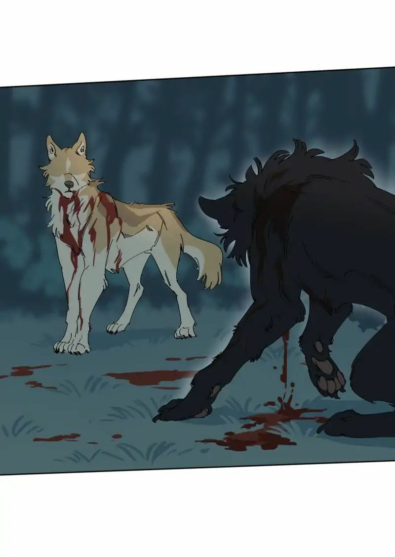 lumine - cội nguồn ánh sáng chapter 55 10