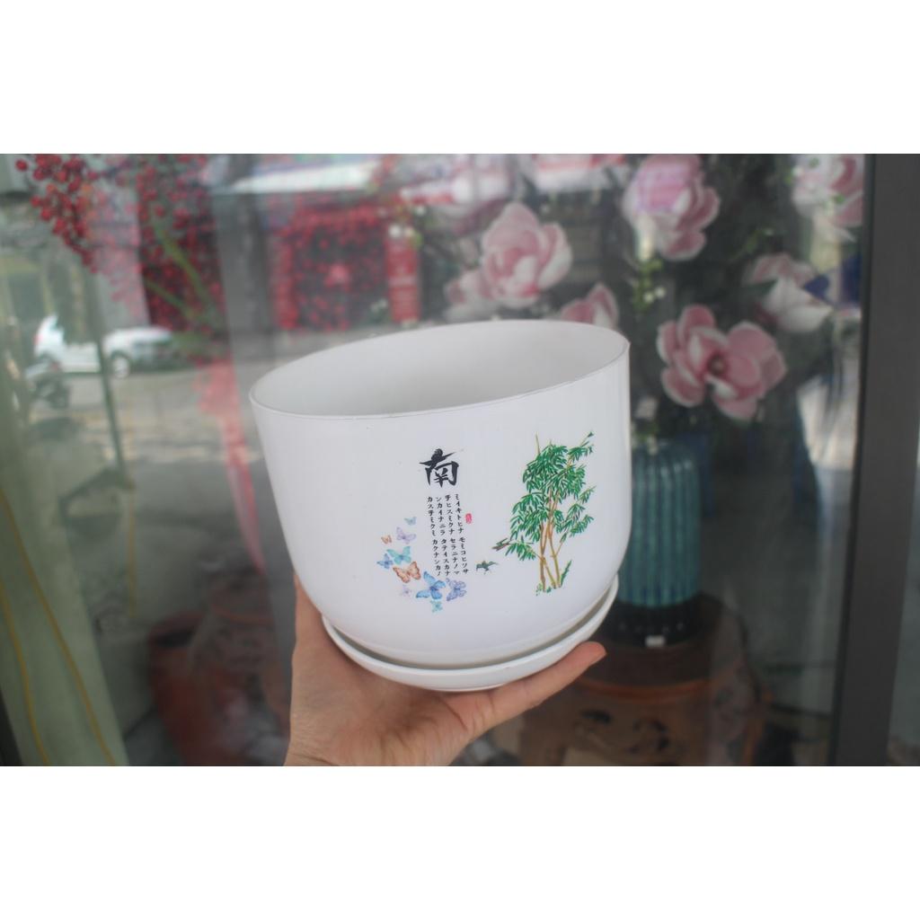 Chậu nhựa đĩa 17*17*16cm trồng hoa- cây cảnh