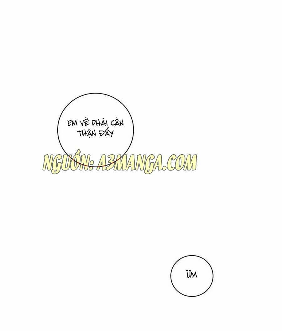 người yêu khát máu của tôi chapter 43 49