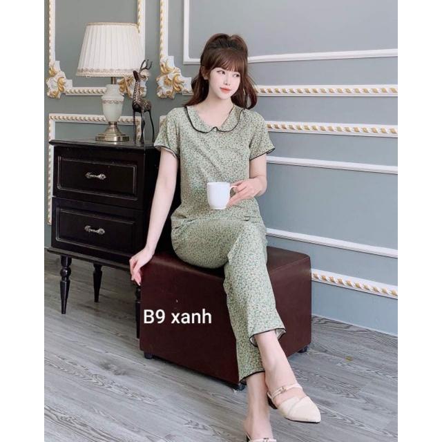 Quần áo ren phối cổ đồ bộ sang chảnh mềm mát