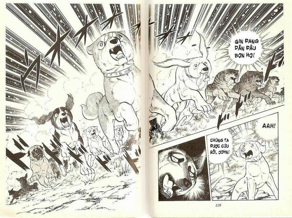 chú chó có nghĩa - ginga nagareboshi gin chapter 20 13