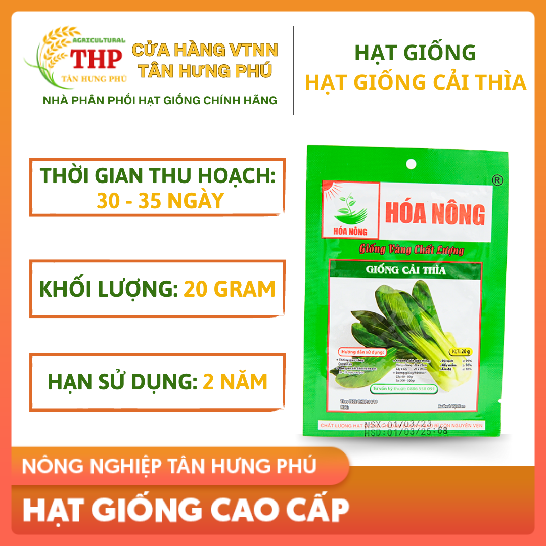 Hạt giống Cải Thìa | Hạt Giống | gói 20gr