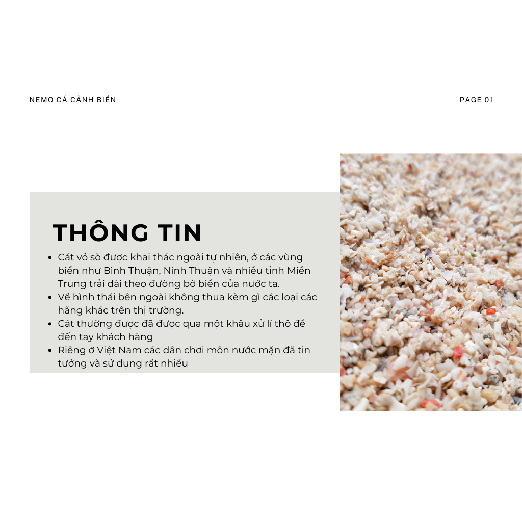 1kg Cát vỏ sò nhuyễn trãi nền trang trí cho bể Cá Biển - Hồ Cá Nước Mặn, Thuỷ Sinh Nước Mặn