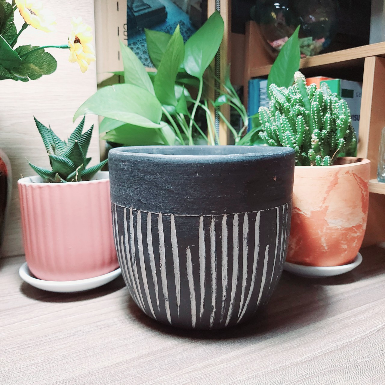 Chậu đất nung kẻ sọc Trắng Đen Bông Garden trồng cây kiểng để bàn kt miệng 14cm cao 12cm