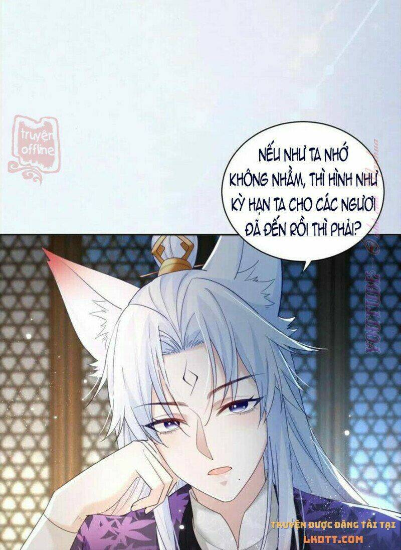 hắc hóa nam chính trực tuyến nuôi thỏ chapter 56 30