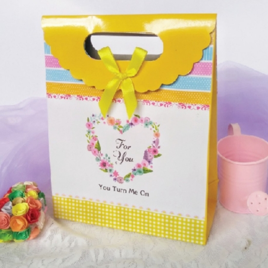 Sét 5 túi giấy đựng quà có nắp size 20 x15 x7cm