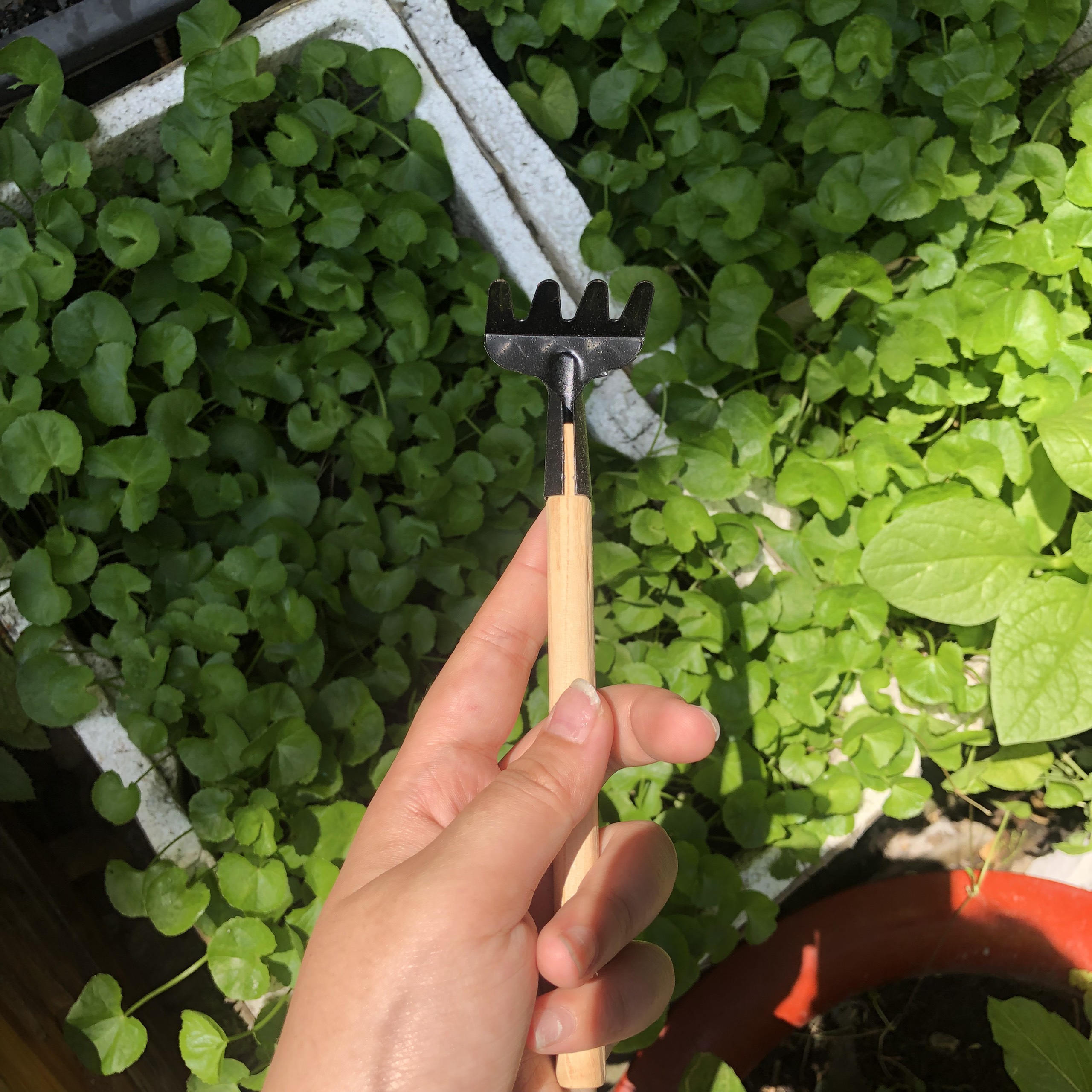Bộ Dụng Cụ Cáng Gỗ Làm Vườn 3 Món Nhiều Size