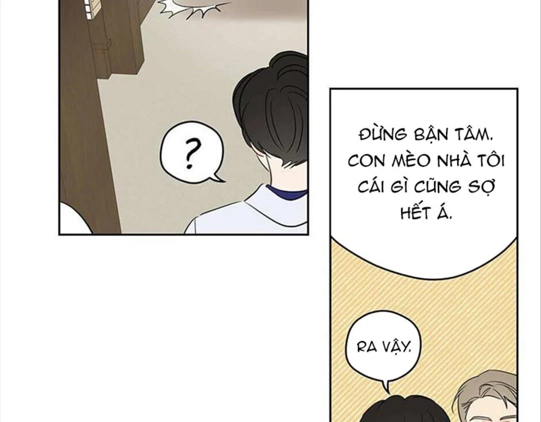 chuyện quái gì với giấc mơ đó vậy chapter 33 28