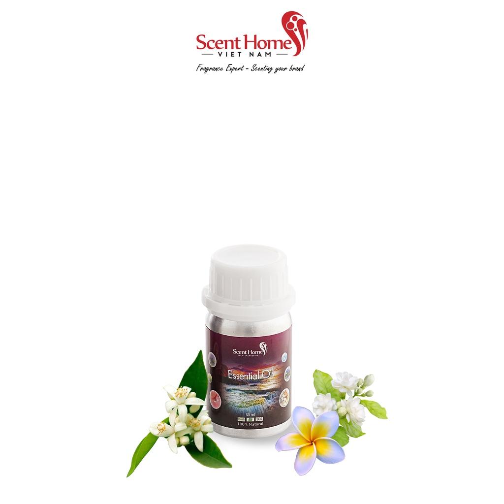 Tinh dầu Scent Homes - mùi hương