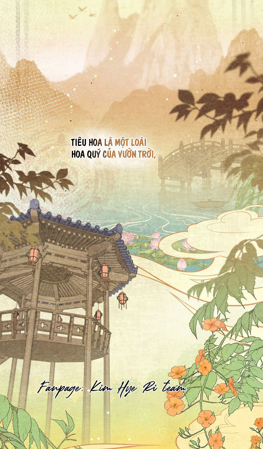 đăng tiêu hoa chapter 1 23