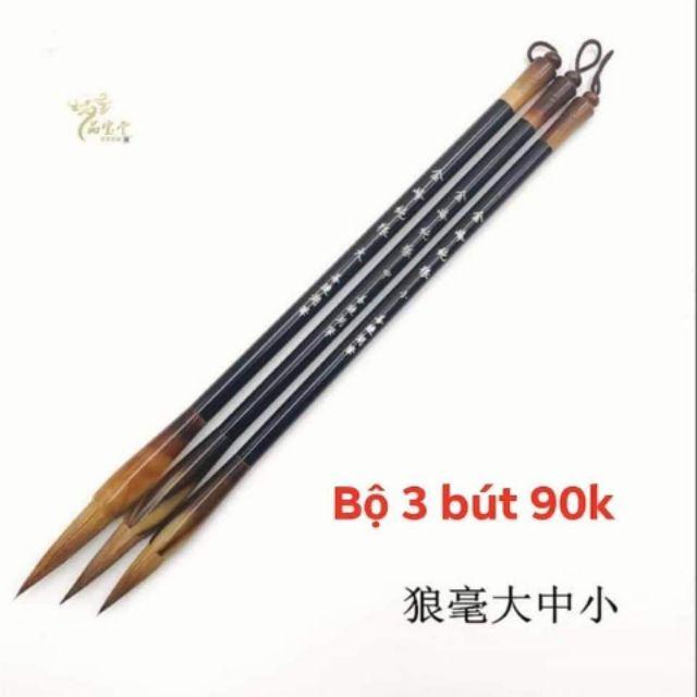 Bộ 3 Bút lang hào lông sói