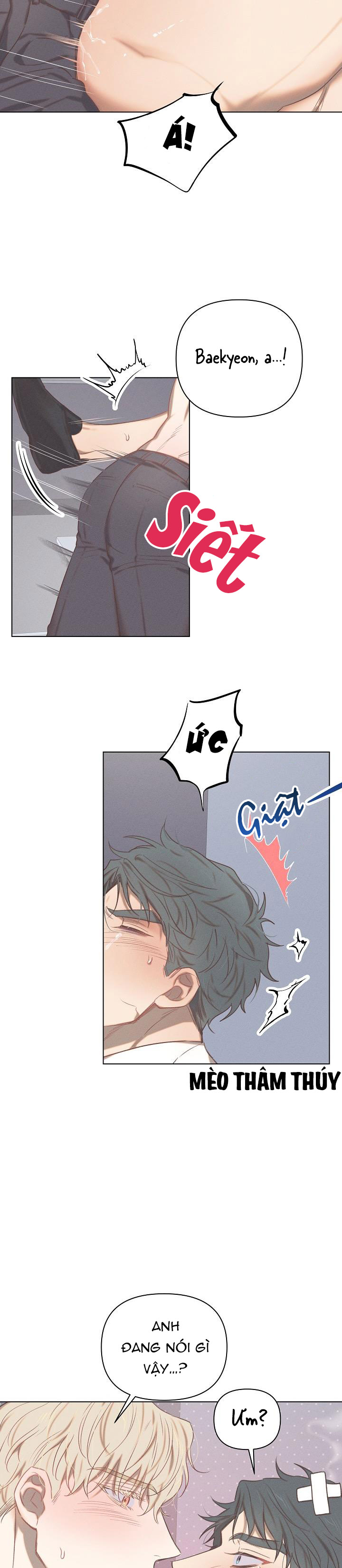 nơi tình yêu định mệnh chapter 9 18