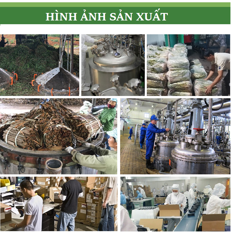 Tinh dầu Trà Xanh nguyên chất từ thiên nhiên, xông phòng, khử mùi, thơm phòng, đuổi muỗi, thư giản - KingOil