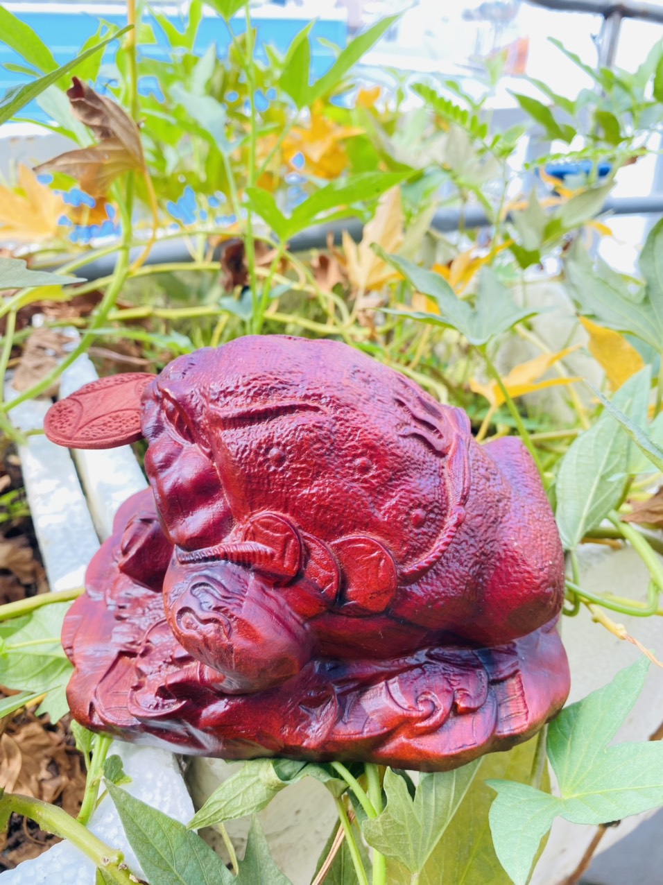 Thiềm thừ chiêu tài gỗ Hương