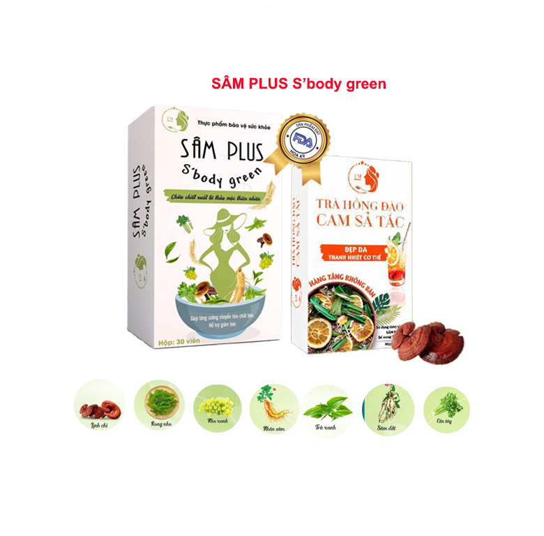 Sâm PLUS S'body green giúp giảm cảm giác thèm ăn, hỗ trợ kiểm soát cân nặng, phân giải mỡ sinh học thanh nhiệt an toàn hiệu quả