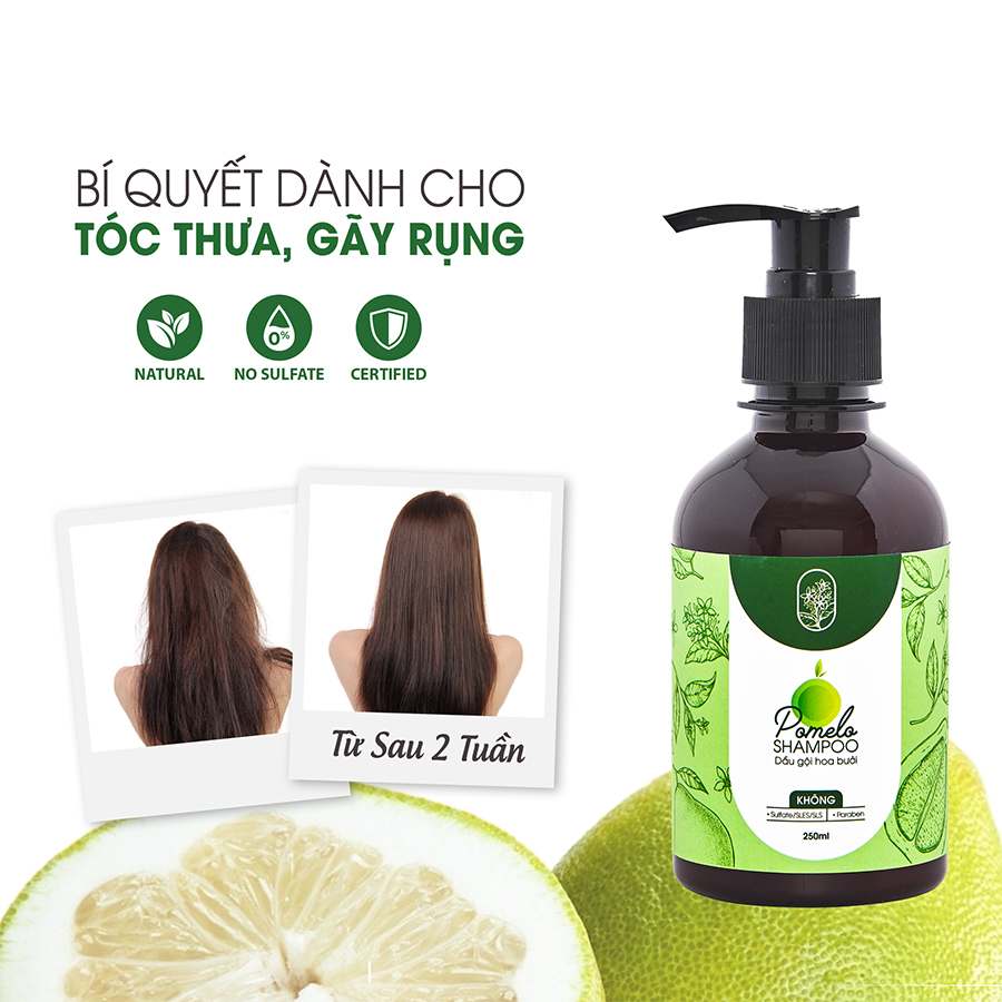 Dầu gội hoa bưởi Pomelo 250ml- giảm gãy rụng tóc, kích thích mọc tóc