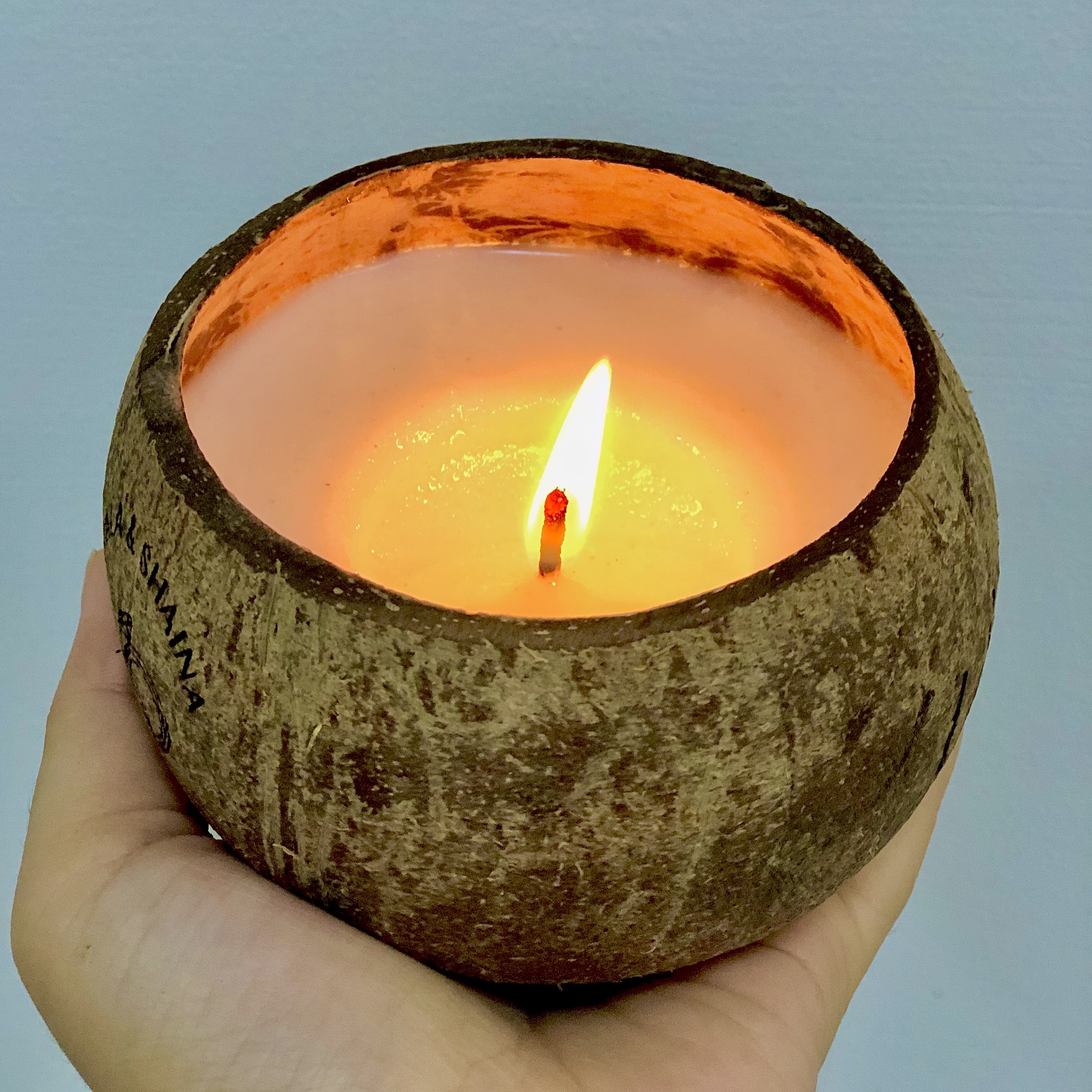 Nến Thơm Hương Gỗ Thông Gáo Dừa Trầm Ấm & Bình Yên
