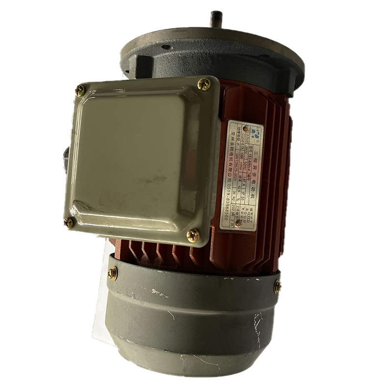 Vĩnh Chuyển YE3 Series Động cơ-80 Phần cứng cơ khí và cơ khí Động cơ Động cơ đứng