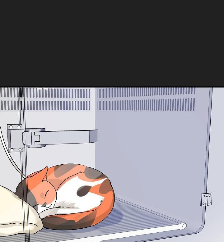 xác suất tình yêu chapter 39 70