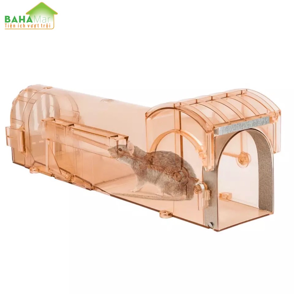 BẪY CHUỘT THÔNG MINH NHÂN ĐẠO TỰ ĐỘNG KHÓA "BAHAMAR" dụ chuột vào và khóa lại để chuột không thoát ra được và yếu dần