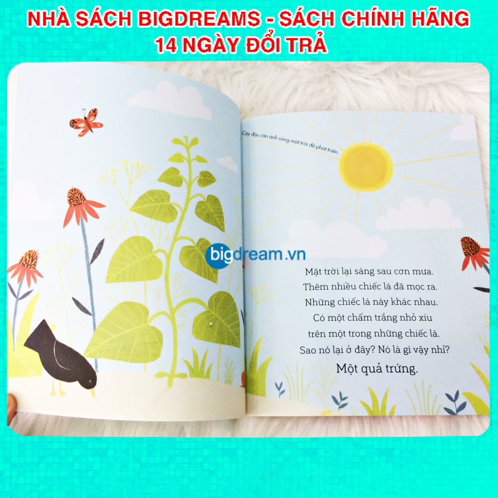 Sâu Bướm và Hạt Đậu - A Science Storybook About Growing Truyện kể cho bé trước giờ đi ngủ phát triển tư duy cho trẻ