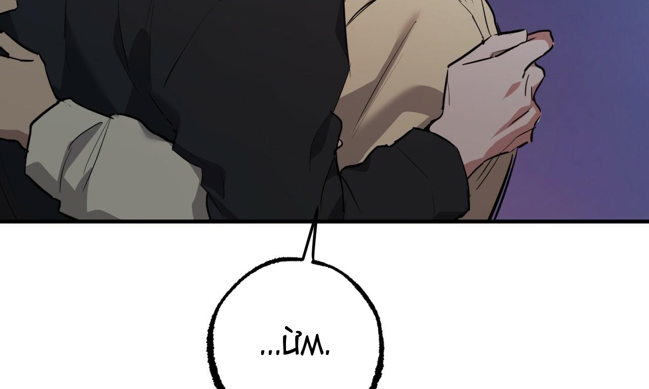 đàn thỏ của habibi chapter 37 252