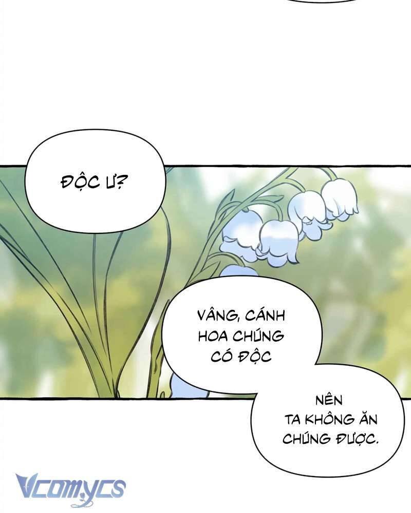 chuyện tình hoa lưu ly chapter 4 95