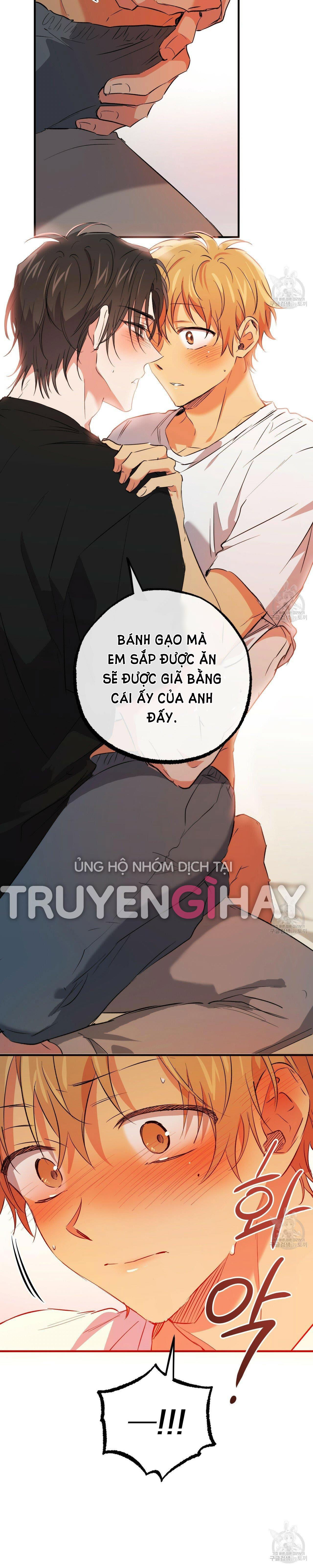 những chú thỏ của hapypy chapter 53.2 40