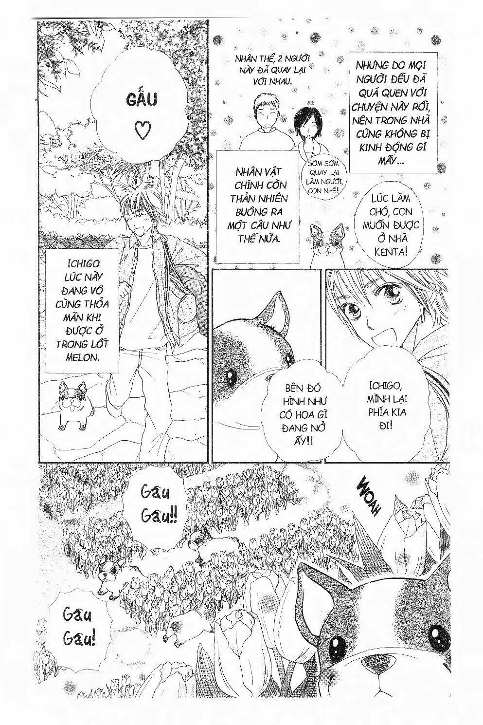 ichigo to anzu chapter 43 5