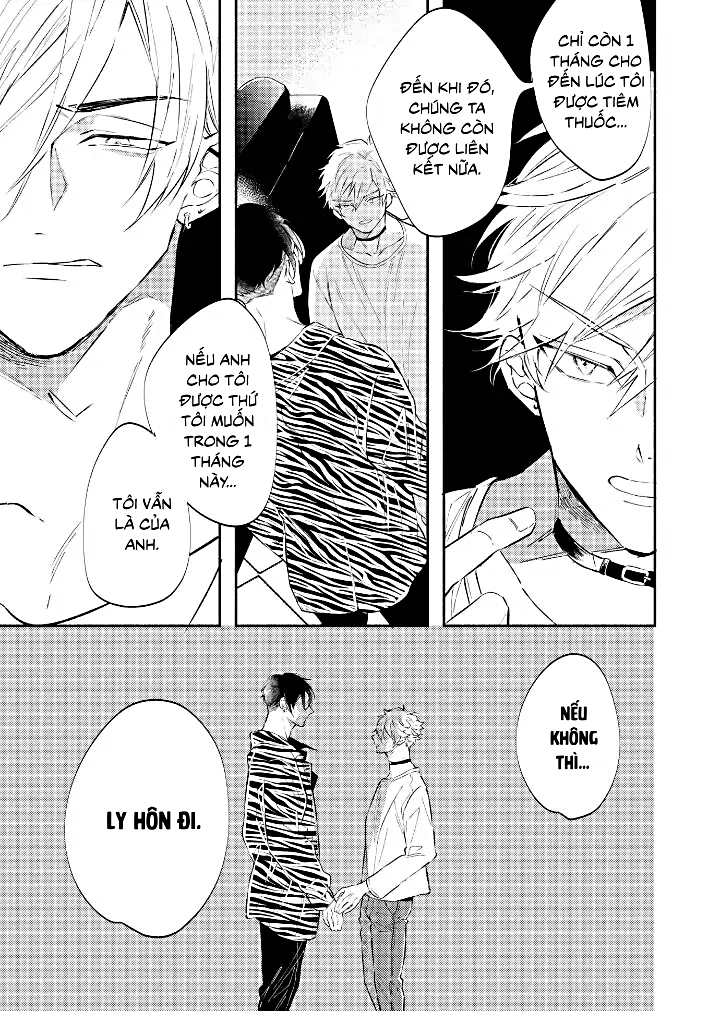 [18+]anh alpha kia! ly hôn đi chapter 1.1 12