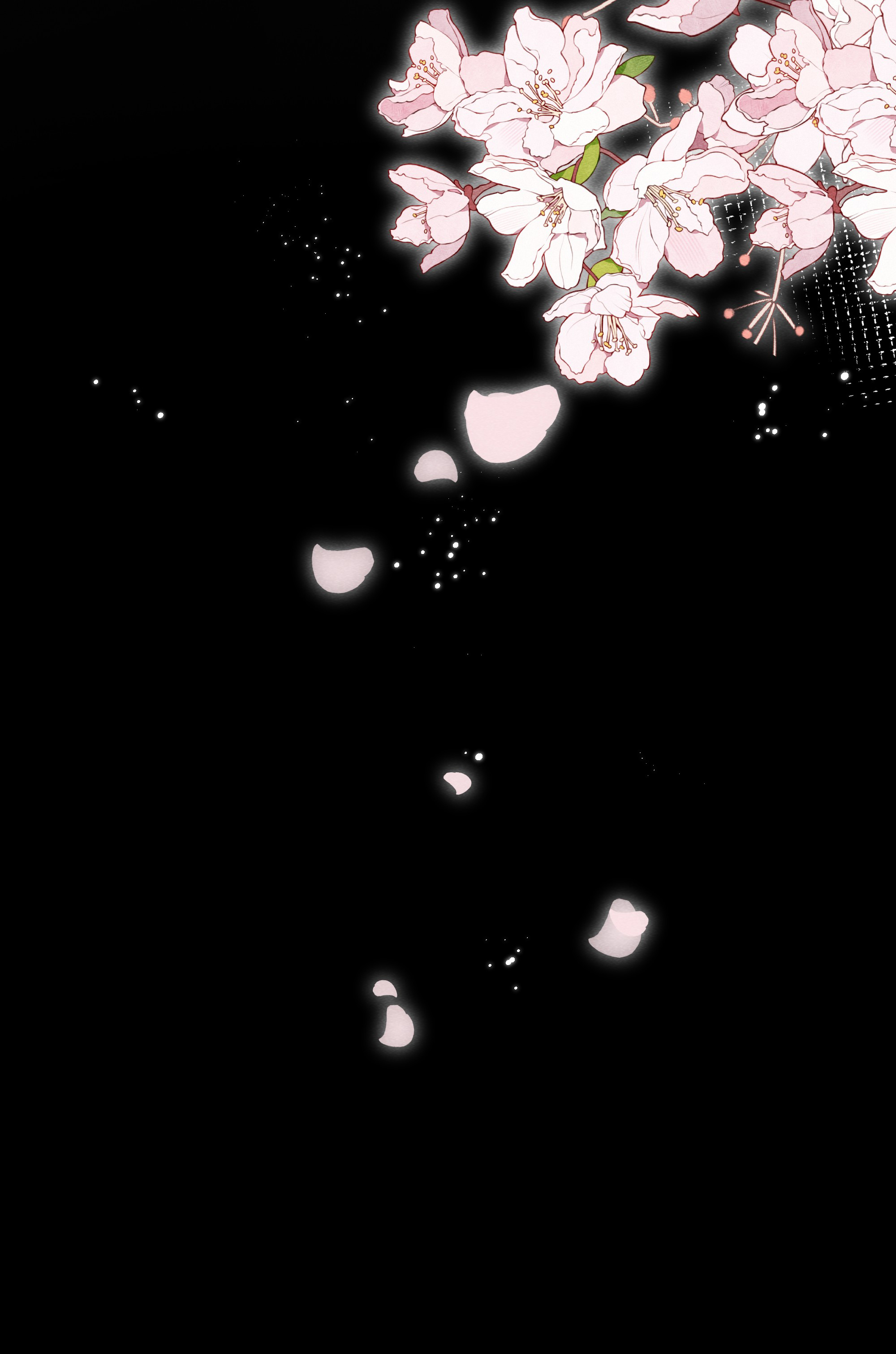 vấn quan chapter 12 6