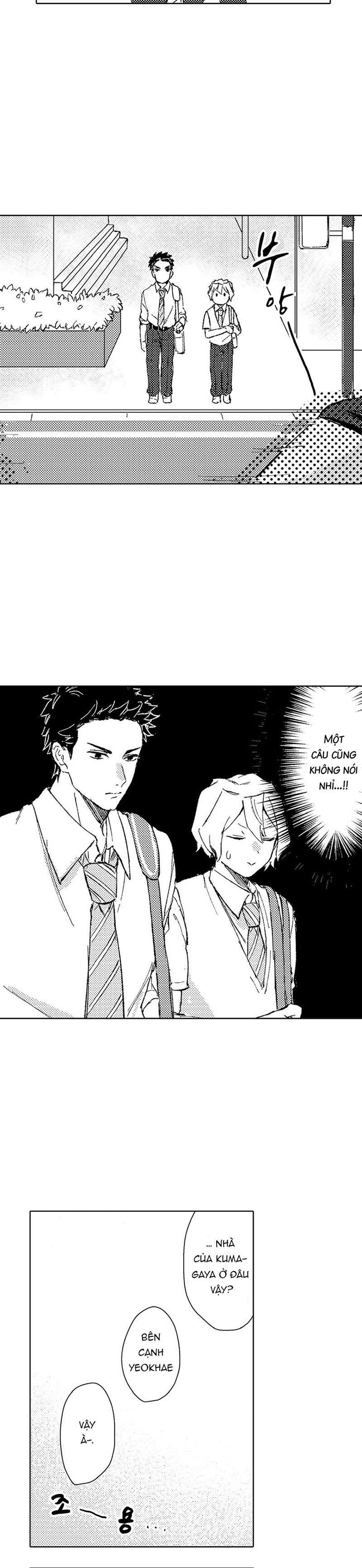 gấu thuần khiết mơ về thỏ dễ thương chapter 1 23